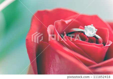 Flowers and romance template, St. Valentine's background Flowers and romance template, St. Valentine's background 111852418