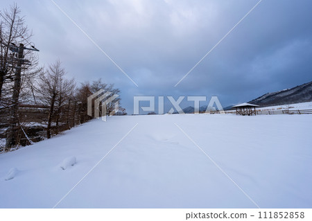 蒜山農場的冬景 111852858