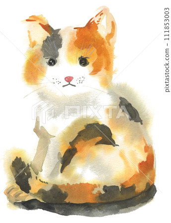 Calico cat painted in watercolor 24222pix7 Calico cat painted in watercolor 24222pix7 111853003