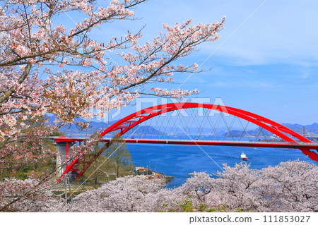 [Hiroshima Prefecture] Daini Ondo Bridge (Ondo no Seto) with cherry blossoms in full bloom 111853027