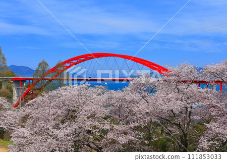 [Hiroshima Prefecture] Daini Ondo Bridge (Ondo no Seto) with cherry blossoms in full bloom 111853033
