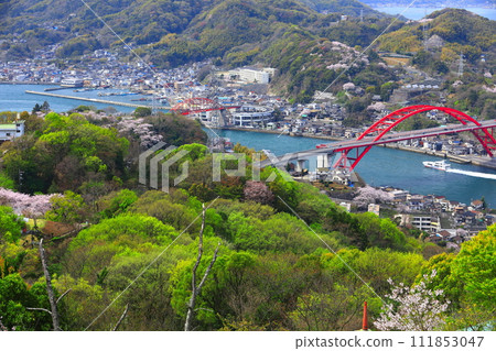 [廣島縣]櫻花盛開的音堂橋和超級噴氣式飛機 111853047