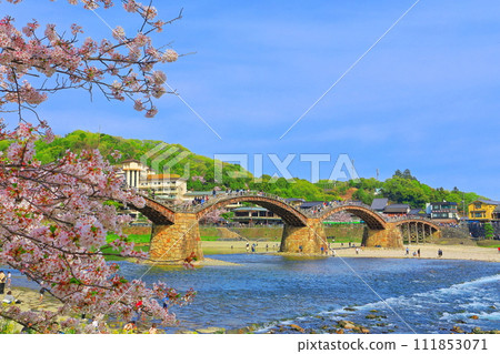 [Yamaguchi Prefecture] Cherry blossoms in full bloom and Kintai Bridge 111853071