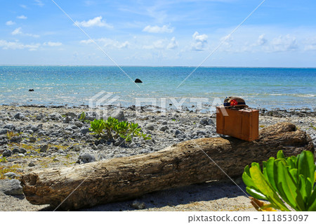 Okinawa blue sea and trunk 111853097