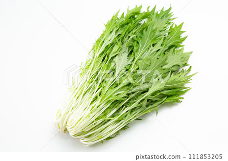 白色背景水蔬菜 111853205