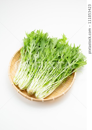 漏勺中白色背景的水菜 111853423