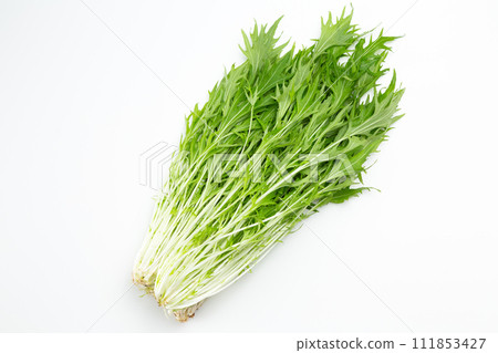 白色背景水蔬菜 111853427