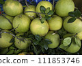 Fresh Fruits Green Pomelo (Citrus grandis)  111853746