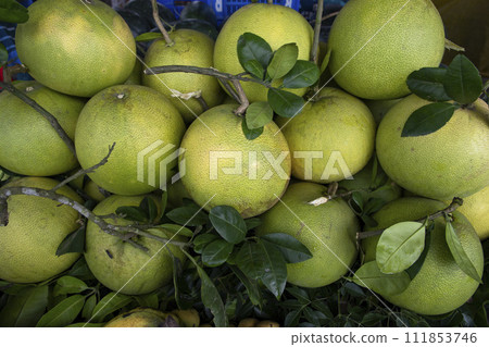 Fresh Fruits Green Pomelo (Citrus grandis) Fresh Fruits Green Pomelo (Citrus grandis) 111853746