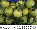 Fresh Fruits Green Pomelo (Citrus grandis)  111853749