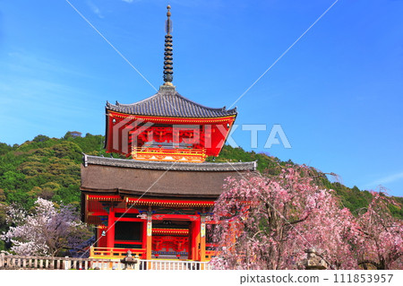 [京都府]櫻花盛開的清水寺三層塔和西門 111853957