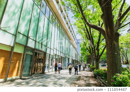 東京春天表參道 東京春天表參道 111854487
