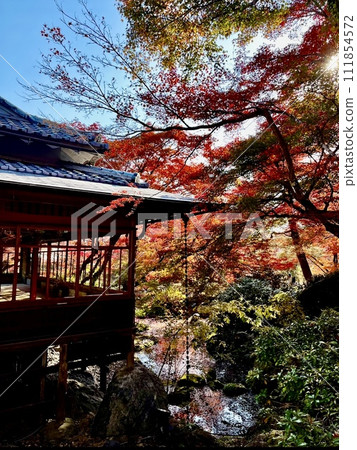 日本房子和秋葉 111854572