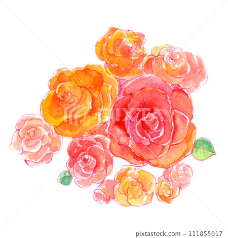 Watercolor illustration colorful rose bouquet Watercolor illustration colorful rose bouquet 111855017