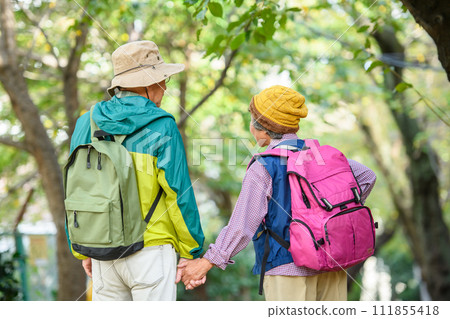 Senior couple hiking, back view 111855418