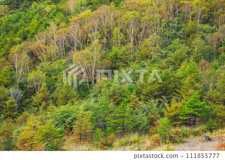 Scenery from Mt. Koasama [Karuizawa Town, Kitasaku District] 111855777