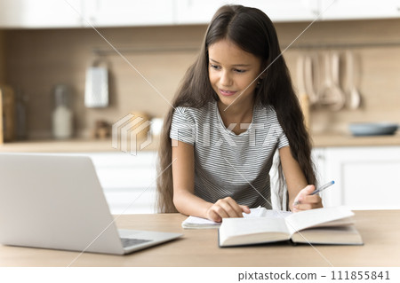 Focused positive schoolkid studying at home, watching online lesson Focused positive schoolkid studying at home, watching online lesson 111855841