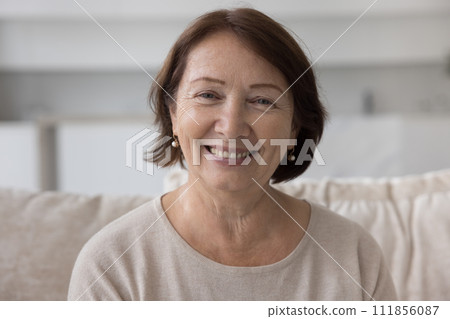 Positive mature older retired woman home head shot portrait Positive mature older retired woman home head shot portrait 111856087