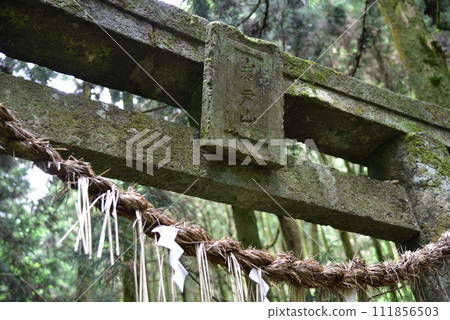 Mystical space “Iwato Shrine” 111856503