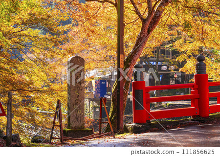 京都高尾的秋葉 - 清瀧川上的朱紅高尾橋 111856625