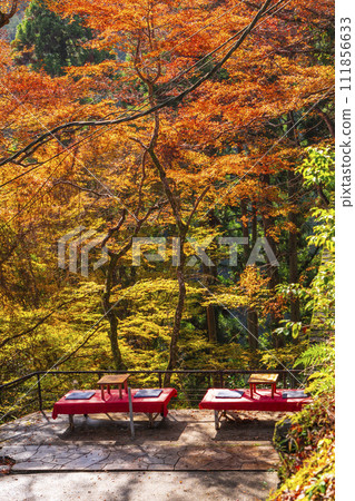 Kyoto in autumn, the approach to Takaosan Jingoji Temple, Takao Chaya wrapped in autumn leaves Kyoto in autumn, the approach to Takaosan Jingoji Temple, Takao Chaya wrapped in autumn leaves 111856633
