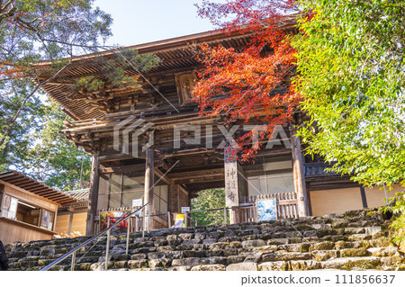 秋天的京都高尾山神護寺大門 秋天的京都高尾山神護寺大門 111856637