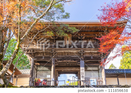 秋天的京都高尾山神護寺大門 111856638