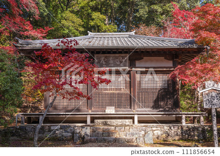 秋天的京都高雄，神護寺，妙堂，秋葉覆蓋 111856654