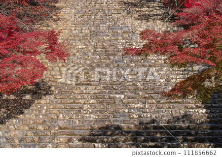 秋天的京都高雄神護寺，主殿和石階上覆蓋著秋葉 111856662