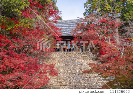 秋天的京都高雄神護寺，主殿和石階上覆蓋著秋葉 111856663