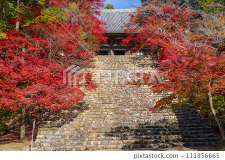 Jingoji Temple in Takao, Kyoto in autumn, the main hall and stone steps covered in autumn leaves 111856665