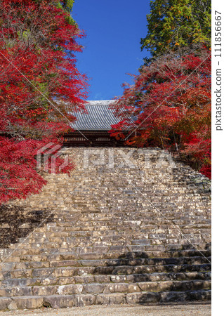 Jingoji Temple in Takao, Kyoto in autumn, the main hall and stone steps covered in autumn leaves 111856667