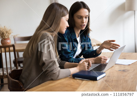 Serious manager presenting online project to colleague, showing online content 111856797