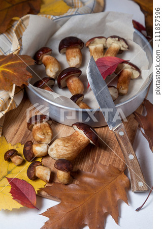 Several Imleria Badia or Boletus badius mushrooms commonly known as the bay bolete, vintage knife and baking sheet with mushrooms on wooden cutting board.. Several Imleria Badia or Boletus badius mushrooms commonly known as the bay bolete, vintage knife and baking sheet with mushrooms on wooden cutting board.. 111857596