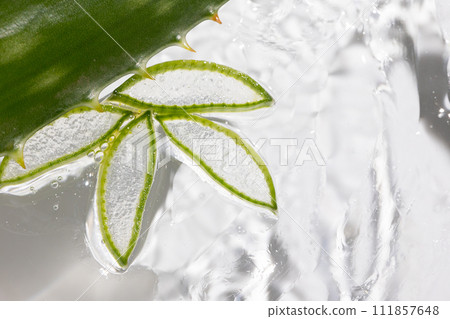 Aloe background, slices and leaves in moisturizing healing gel 111857648