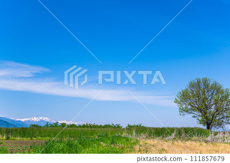 Spring Azumino natural scenery Spring Azumino natural scenery 111857679