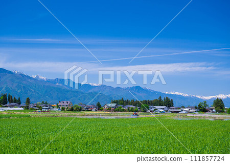 Azumino during rice planting season Azumino during rice planting season 111857724