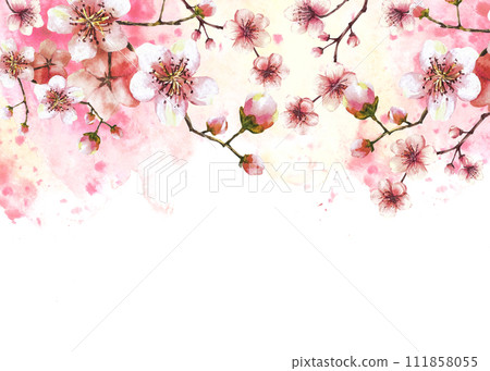 A blossoming branch from spring tree template illustration. Hand drawn blossoms sakura, cherry or apple buds and flowers on watercolor stain splashes background Springtime banner Isolated illustration 111858055