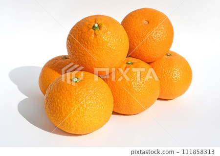 Mandarin oranges and citrus fruits (sweet spring) Mandarin oranges and citrus fruits (sweet spring) 111858313