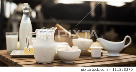 Milk, cottage cheese, cream, cheese on table against background of cows 111858370