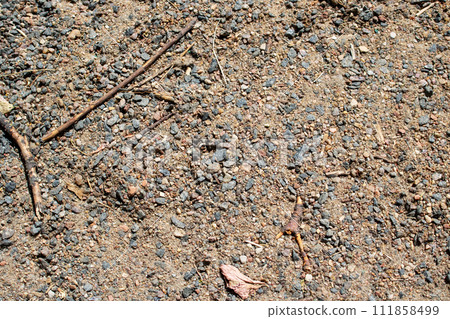 Background or texture of small stones and sand Background or texture of small stones and sand 111858499