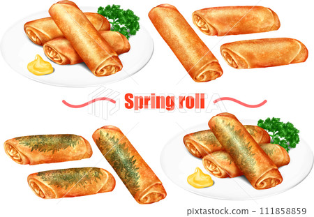 spring roll spring roll chinese food spring roll spring roll chinese food 111858859
