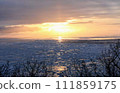 Drift ice and sunset 111859175
