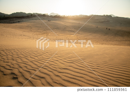 Beautiful scenery of Tottori sand dune 111859361