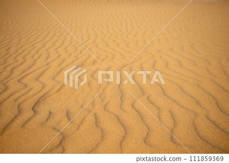 Beautiful scenery of Tottori sand dune Beautiful scenery of Tottori sand dune 111859369
