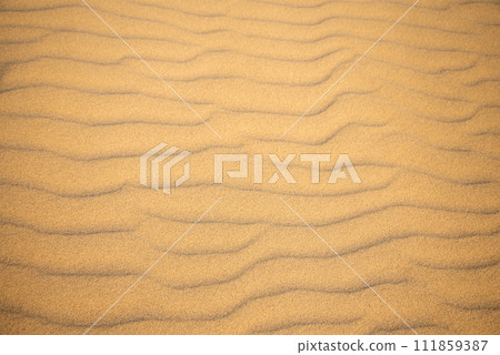 Beautiful scenery of Tottori sand dune Beautiful scenery of Tottori sand dune 111859387