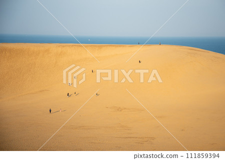 Beautiful scenery of Tottori sand dune Beautiful scenery of Tottori sand dune 111859394