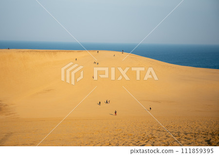 Beautiful scenery of Tottori sand dune Beautiful scenery of Tottori sand dune 111859395