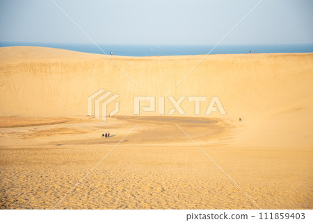 Beautiful scenery of Tottori sand dune Beautiful scenery of Tottori sand dune 111859403