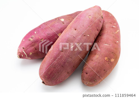 白色背景上的地瓜/絲甜 111859464